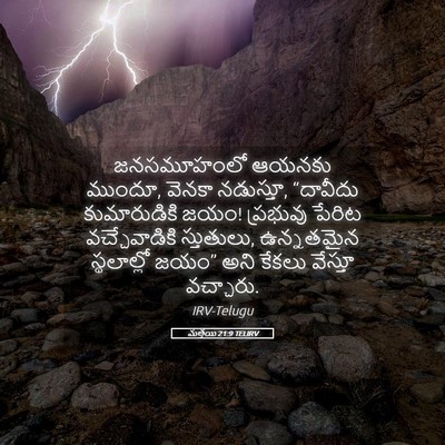 Picture 05 - మత్తయి 21:9 TELIRV - జనసమూహంలో ఆయనకు - Bible Verse Picture