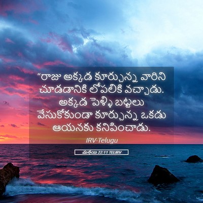 Picture 05 - మత్తయి 22:11 TELIRV - “రాజు అక్కడ - Bible Verse Picture