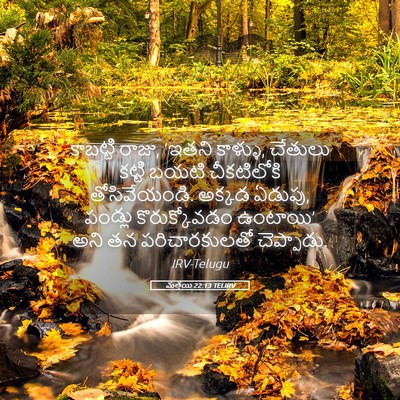 Picture 05 - మత్తయి 22:13 TELIRV - కాబట్టి రాజు, - Bible Verse Picture