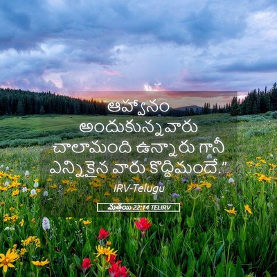Picture 05 - మత్తయి 22:14 TELIRV - ఆహ్వానం - Bible Verse Picture