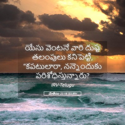 Picture 05 - మత్తయి 22:18 TELIRV - యేసు వెంటనే వారి - Bible Verse Picture