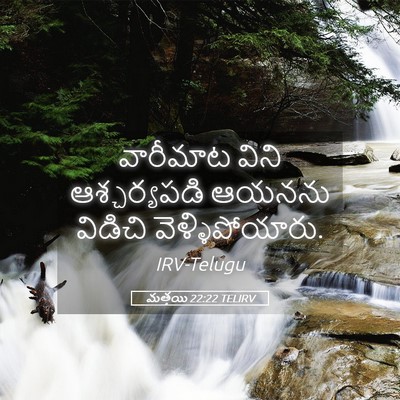 Picture 05 - మత్తయి 22:22 TELIRV - వారీమాట విని - Bible Verse Picture