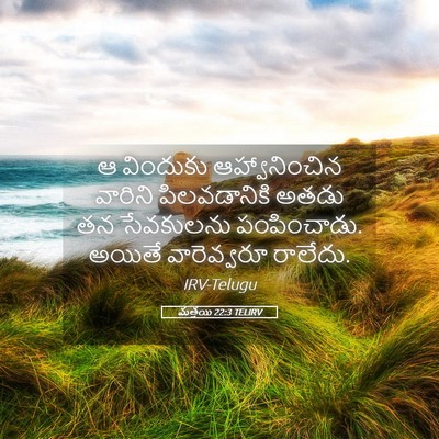 Picture 05 - మత్తయి 22:3 TELIRV - ఆ విందుకు - Bible Verse Picture