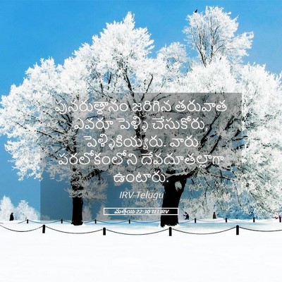 Picture 05 - మత్తయి 22:30 TELIRV - పునరుత్థానం - Bible Verse Picture