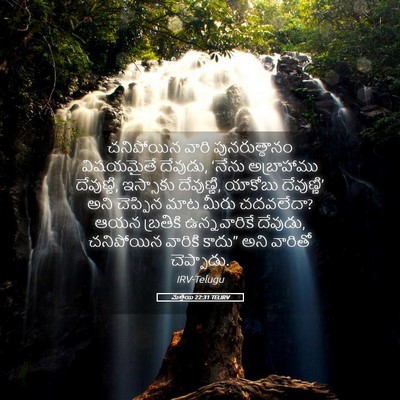 Picture 05 - మత్తయి 22:31 TELIRV - చనిపోయిన వారి - Bible Verse Picture