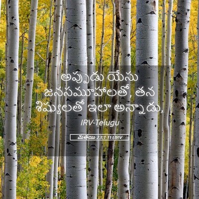 Picture 05 - మత్తయి 23:1 TELIRV - అప్పుడు యేసు - Bible Verse Picture