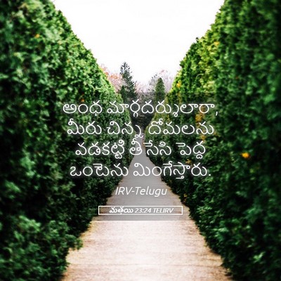 Picture 05 - మత్తయి 23:24 TELIRV - అంధ - Bible Verse Picture
