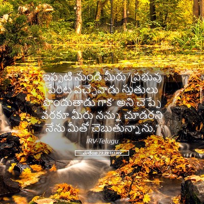 Picture 05 - మత్తయి 23:39 TELIRV - ఇప్పటి నుండి మీరు - Bible Verse Picture