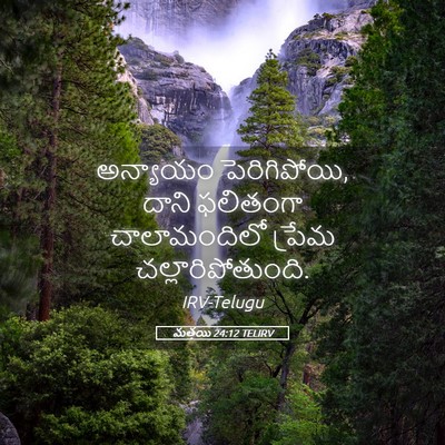 Picture 05 - మత్తయి 24:12 TELIRV - అన్యాయం - Bible Verse Picture