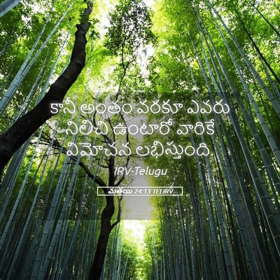 Picture 05 - మత్తయి 24:13 TELIRV - కానీ అంతం వరకూ - Bible Verse Picture