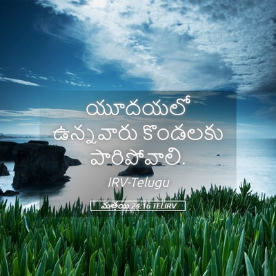 Picture 05 - మత్తయి 24:16 TELIRV - యూదయలో ఉన్నవారు - Bible Verse Picture