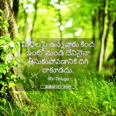 Picture 05 - మత్తయి 24:17 TELIRV - మిద్దెలపై - Bible Verse Picture