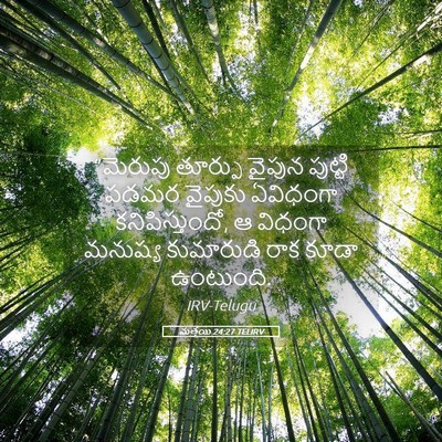 Picture 05 - మత్తయి 24:27 TELIRV - “మెరుపు తూర్పు - Bible Verse Picture