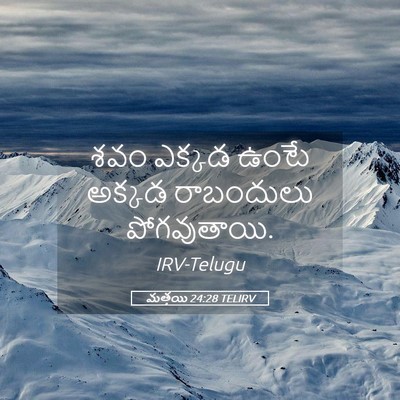Picture 05 - మత్తయి 24:28 TELIRV - శవం ఎక్కడ ఉంటే - Bible Verse Picture