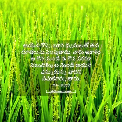 Picture 05 - మత్తయి 24:31 TELIRV - ఆయన గొప్ప బూర - Bible Verse Picture