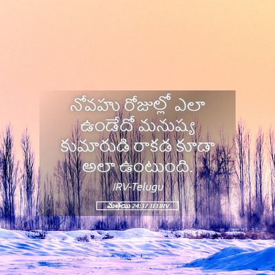 Picture 05 - మత్తయి 24:37 TELIRV - నోవహు రోజుల్లో - Bible Verse Picture