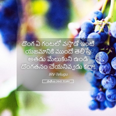 Picture 05 - మత్తయి 24:43 TELIRV - దొంగ ఏ గంటలో - Bible Verse Picture