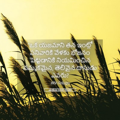 Picture 05 - మత్తయి 24:45 TELIRV - “ఒక యజమాని తన - Bible Verse Picture
