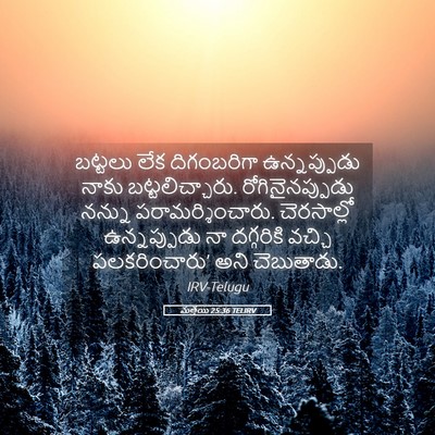 Picture 05 - మత్తయి 25:36 TELIRV - బట్టలు లేక - Bible Verse Picture