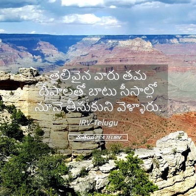 Picture 05 - మత్తయి 25:4 TELIRV - తెలివైన వారు తమ - Bible Verse Picture