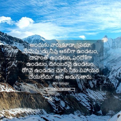 Picture 05 - మత్తయి 25:44 TELIRV - అందుకు వారు కూడా, - Bible Verse Picture