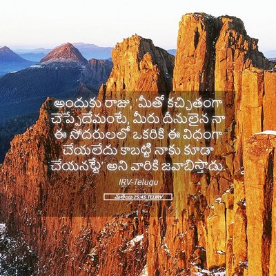 Picture 05 - మత్తయి 25:45 TELIRV - అందుకు రాజు, ‘మీతో - Bible Verse Picture