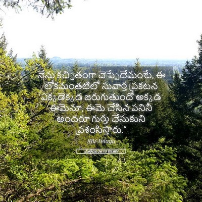 Picture 05 - మత్తయి 26:13 TELIRV - నేను కచ్చితంగా - Bible Verse Picture
