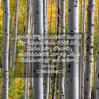 Picture 05 - మత్తయి 26:17 TELIRV - పొంగని రొట్టెల - Bible Verse Picture