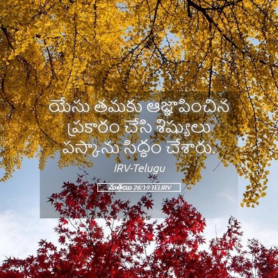Picture 05 - మత్తయి 26:19 TELIRV - యేసు తమకు - Bible Verse Picture