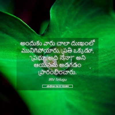 Picture 05 - మత్తయి 26:22 TELIRV - అందుకు వారు చాలా - Bible Verse Picture