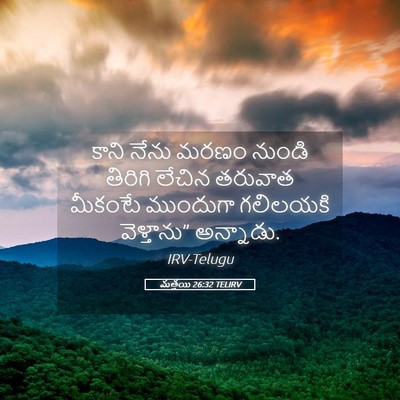 Picture 05 - మత్తయి 26:32 TELIRV - కాని నేను మరణం - Bible Verse Picture