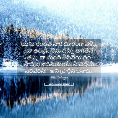 Picture 05 - మత్తయి 26:42 TELIRV - యేసు రెండవ సారి - Bible Verse Picture
