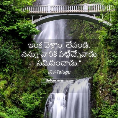 Picture 05 - మత్తయి 26:46 TELIRV - ఇంక వెళ్దాం, - Bible Verse Picture