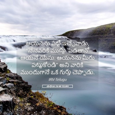 Picture 05 - మత్తయి 26:48 TELIRV - ఆయనను పట్టి - Bible Verse Picture