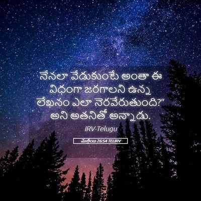 Picture 05 - మత్తయి 26:54 TELIRV - నేనలా వేడుకుంటే - Bible Verse Picture