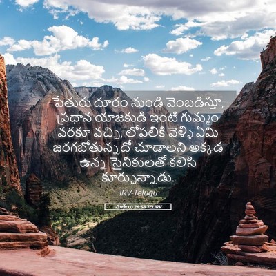 Picture 05 - మత్తయి 26:58 TELIRV - పేతురు దూరం నుండి - Bible Verse Picture