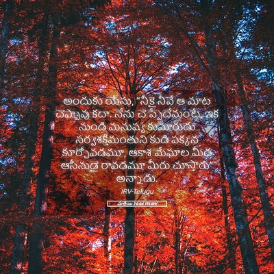 Picture 05 - మత్తయి 26:64 TELIRV - అందుకు యేసు, “నీకై - Bible Verse Picture
