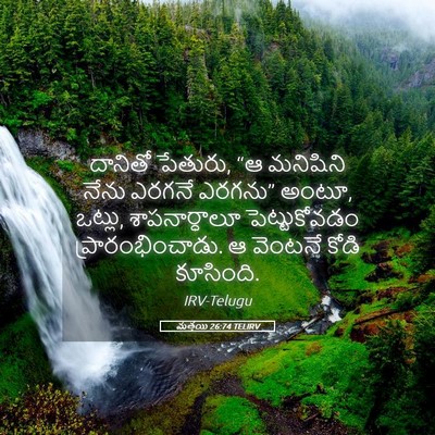 Picture 05 - మత్తయి 26:74 TELIRV - దానితో పేతురు, “ఆ - Bible Verse Picture