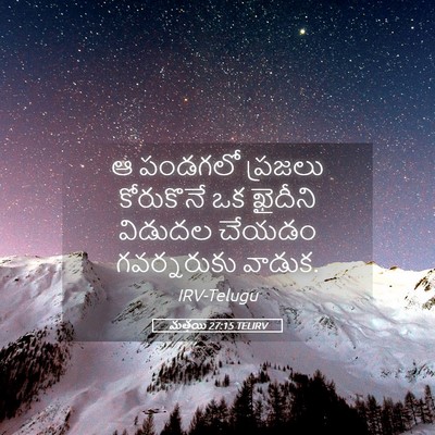 Picture 05 - మత్తయి 27:15 TELIRV - ఆ పండగలో ప్రజలు - Bible Verse Picture