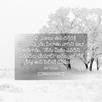 Picture 05 - మత్తయి 27:17 TELIRV - కాబట్టి ప్రజలు తన - Bible Verse Picture