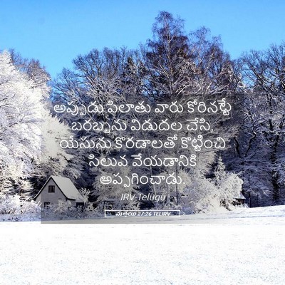 Picture 05 - మత్తయి 27:26 TELIRV - అప్పుడు పిలాతు - Bible Verse Picture