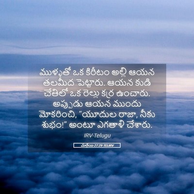 Picture 05 - మత్తయి 27:29 TELIRV - ముళ్ళతో ఒక కిరీటం - Bible Verse Picture
