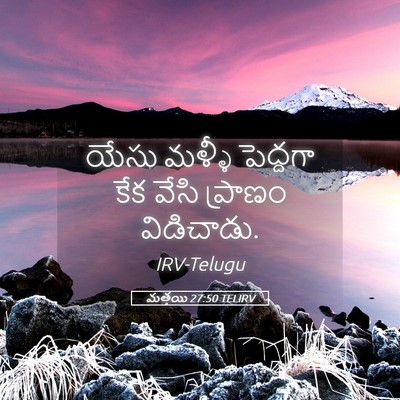 Picture 05 - మత్తయి 27:50 TELIRV - యేసు మళ్ళీ - Bible Verse Picture