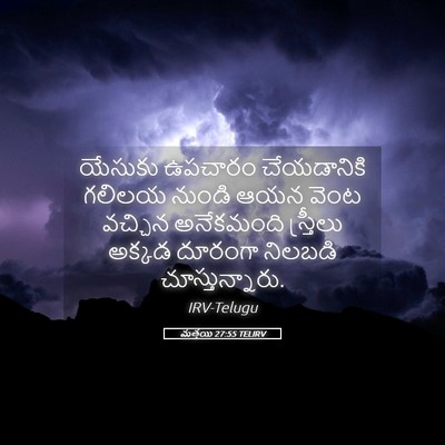 Picture 05 - మత్తయి 27:55 TELIRV - యేసుకు ఉపచారం - Bible Verse Picture