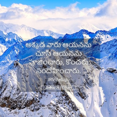 Picture 05 - మత్తయి 28:17 TELIRV - అక్కడ వారు ఆయనను - Bible Verse Picture