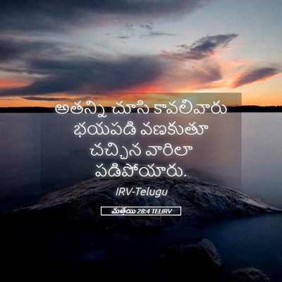 Picture 05 - మత్తయి 28:4 TELIRV - అతన్ని చూసి - Bible Verse Picture