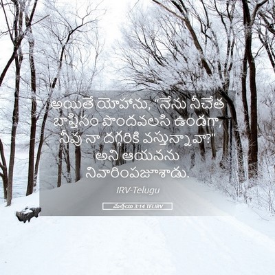 Picture 05 - మత్తయి 3:14 TELIRV - అయితే యోహాను, - Bible Verse Picture