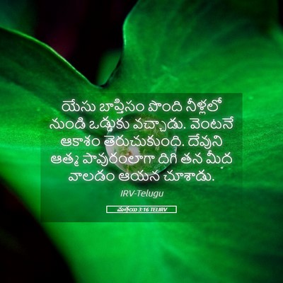 Picture 05 - మత్తయి 3:16 TELIRV - యేసు బాప్తిసం - Bible Verse Picture