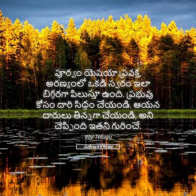 Picture 05 - మత్తయి 3:3 TELIRV - పూర్వం యెషయా - Bible Verse Picture
