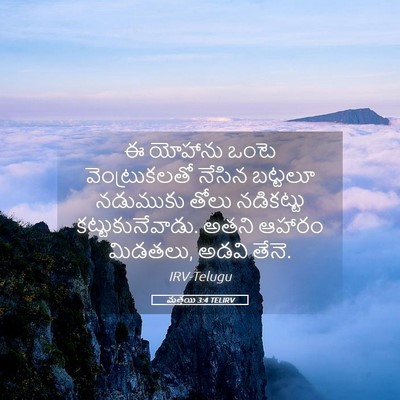 Picture 05 - మత్తయి 3:4 TELIRV - ఈ యోహాను ఒంటె - Bible Verse Picture